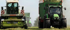Grasernte. Besonders die späten Schnitte eines Jahres werden häufig für die Produktion von Biogas genutzt.