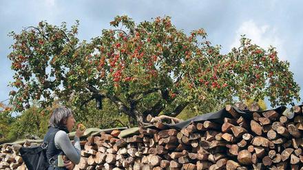 Naschen erlaubt. Im Herbst kommen Wanderer im Odenwald bisweilen an Bäumen, voll mit knackigen Äpfeln, vorüber. Hiesige Winzer können viel draus machen. 