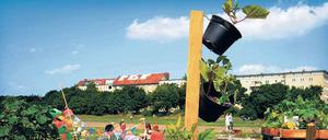 Es wächst und gedeiht. Die Beete auf dem Tempelhofer Feld müssen erstmal nicht neuen Wohnungsbauten weichen. Aber da die Stadt für immer mehr Menschen attraktiv ist, wird sie sich Veränderungen stellen müssen. 