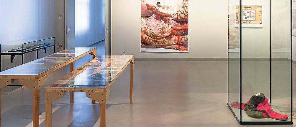 Arbeiten von Wolfgang Tillmans in den Museen Dahlem.