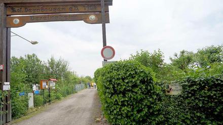 Lange Tradition. Wie das hölzerne Eingangsportal zeigt, gibt es die Kleingartenkolonie Oeynhausen seit 110 Jahren.