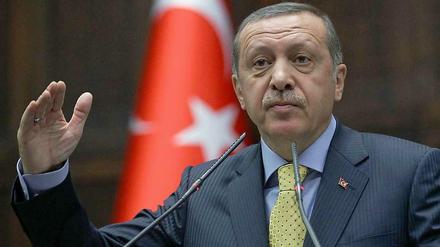 Der türkische Ministerpräsident Erdogan bricht mit Grünen-Chef Cem Özdemir.