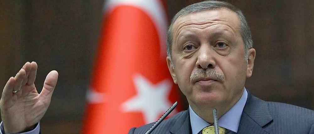 Der türkische Ministerpräsident Erdogan bricht mit Grünen-Chef Cem Özdemir.