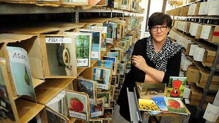 Mehr als 3000 Motive: Lidwien Steenbrink führt das Postkarten-Unternehmen Inkognito. 