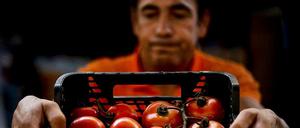 Lebensmittelspende in Lissabon: Mehr als jeder zehnte Europäer kann sich keine vollwertigen Mahlzeiten leisten.