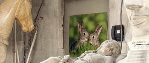 Blick für das Übersehene. Eine Fotografie Brechs zeigt einen Abguss von Schadows Epitaph für Graf Alexander, den unehelichen Sohn von König Friedrich Wilhelm, in der Gipsformerei der Staatlichen Museen in Charlottenburg.