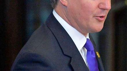Der britische Regierungschef David Cameron.