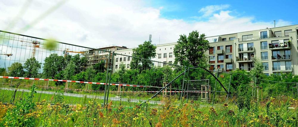 Neubau in der Innenstadt. An der Flottwellstraße am Gleisdreieck sind viele Häuser entstanden.