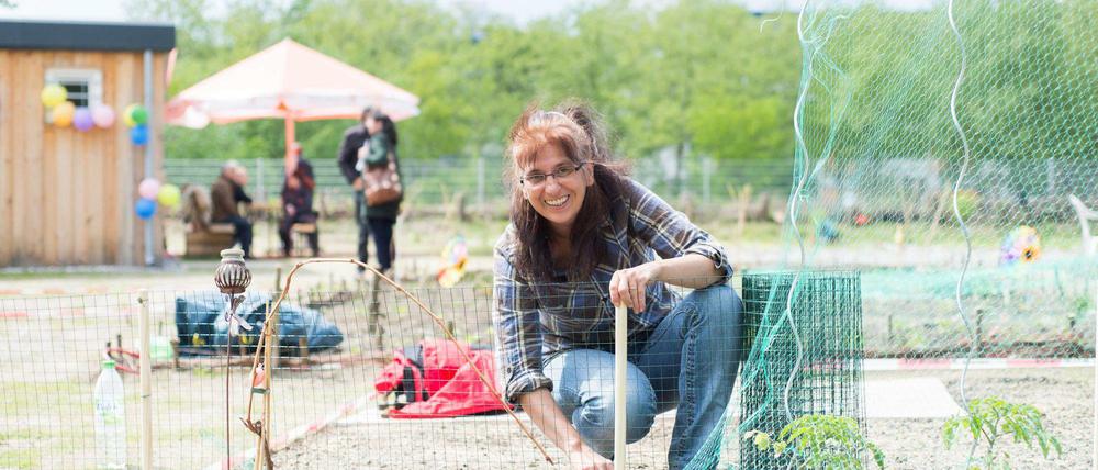Das „Beettinchen“ im Märkischen Viertel ist ein 7000 Quadratmeter großer Nachbarschaftsgarten mit vierzig Pacht- und Prachtbeeten.