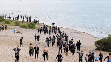 Alle Mann zu Wasser. Das Freiwasser ruft!