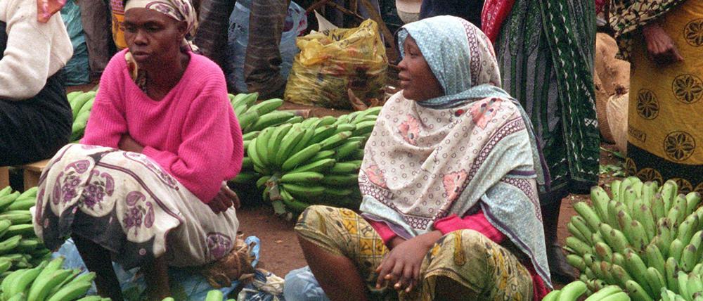 Die genmanipulierte Bananensorte könnte in Uganda angebaut werden.