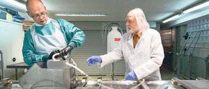 Der Stickstoff, aus dem die Träume sind. In einem Bestattungsinstitut proben Klaus Sames (rechts) und seine Mitstreiter für den Ernstfall.