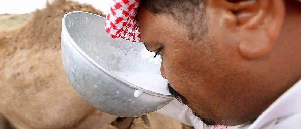 Keime und Kamele. Frische Kamelmilch mit Gästen zu teilen, ist auf der Arabischen Halbinsel Tradition. Die Milch kann allerdings das Coronavirus Mers enthalten.