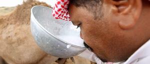 Keime und Kamele. Frische Kamelmilch mit Gästen zu teilen, ist auf der Arabischen Halbinsel Tradition. Die Milch kann allerdings das Coronavirus Mers enthalten.