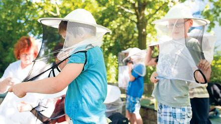 Kleine Imker. Kinder aus der Marzahner Marcana-Schule ziehen bei der Bienenlehrstunde im Freilandlabor Marzahn Schutzhauben an. 