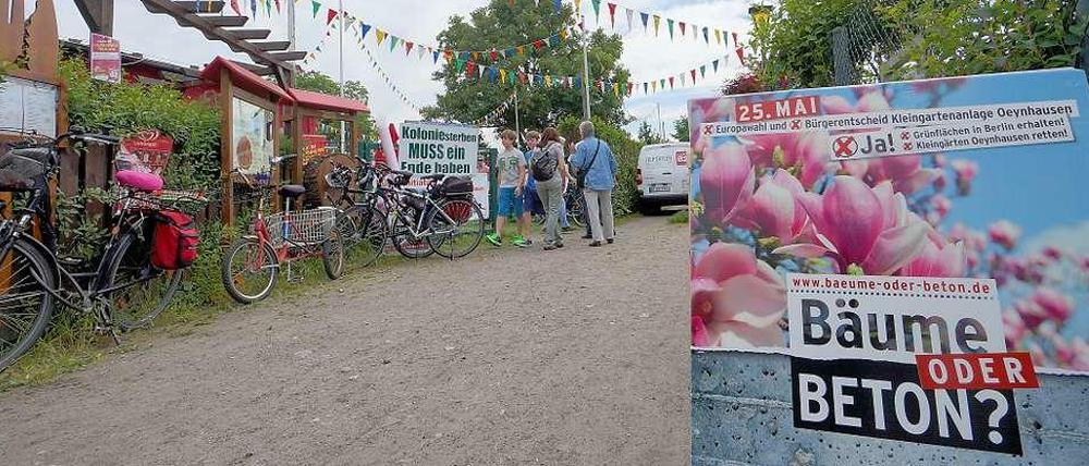 Vor dem Bürgerentscheid wurde in der Kolonie ordentlich Stimmung gemacht.