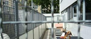 Dauerndes Hundegebell? Konnte das Gericht nicht feststellen - im Gegenteil. Für Lärmgutachten musste ein fremder Dackel vorbeigetragen werden, damit die Hunde anschlagen.