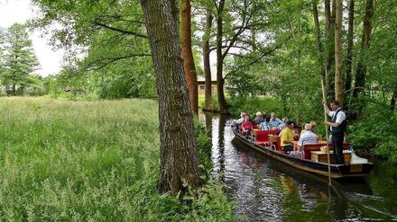 Lauschig: auf dem Kahn durch den Spreewald. 