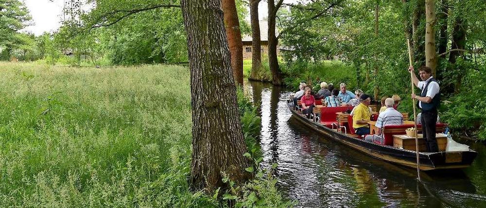 Lauschig: auf dem Kahn durch den Spreewald. 