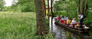 Lauschig: auf dem Kahn durch den Spreewald. 