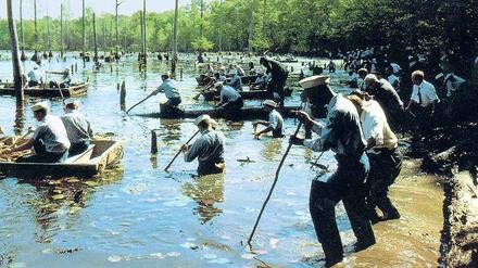 44 Tage lang wurde nach den Verschollenen gesucht, auch in den Sümpfen stocherten FBI-Mitarbeiter und Marine-Soldaten – hier eine Szene aus dem Film „Mississippi Burning“. 