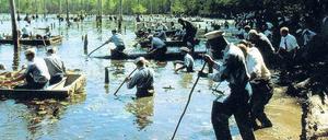 44 Tage lang wurde nach den Verschollenen gesucht, auch in den Sümpfen stocherten FBI-Mitarbeiter und Marine-Soldaten – hier eine Szene aus dem Film „Mississippi Burning“. 