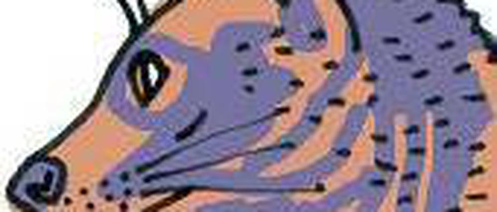 Fossa