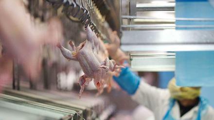 Es geht ums Huhn. In den USA wird das Geflügel nach der Verarbeitung in einem Chlorbad desinfiziert. Für Kanzlerin Merkel sind solche Hühnchen in europäischen Supermärkten nicht vorstellbar.