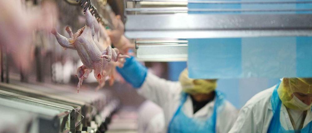 Es geht ums Huhn. In den USA wird das Geflügel nach der Verarbeitung in einem Chlorbad desinfiziert. Für Kanzlerin Merkel sind solche Hühnchen in europäischen Supermärkten nicht vorstellbar.