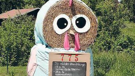 Freundliches Huhn in Potzlow