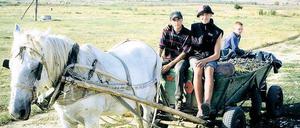 So sieht die Weinernte in Volker Koepps aktueller Doku „In Sarmatien“ aus. Daneben sitzt der Regisseur am heimischen Esstisch in Pankow.