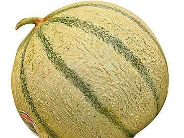 Eine Melone.