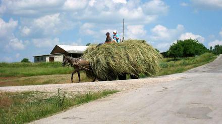 Ein von einem Pferd gezogener Heuwagen im Norden Moldaus. 