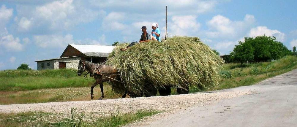 Ein von einem Pferd gezogener Heuwagen im Norden Moldaus.
