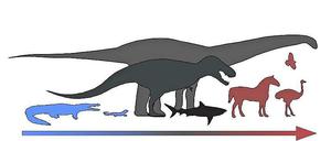 Der Energieverbrauch der Dinosaurier lag zwischen dem von Reptilien und Säugetieren.