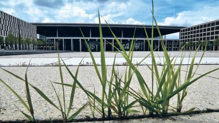 Da wächst schon Gras drüber. Politisch gehen die Diskussionen um den Flughafen BER allerdings weiter. Nach wie vor ist nicht bekannt, wann der Airport eröffnet werden kann. 