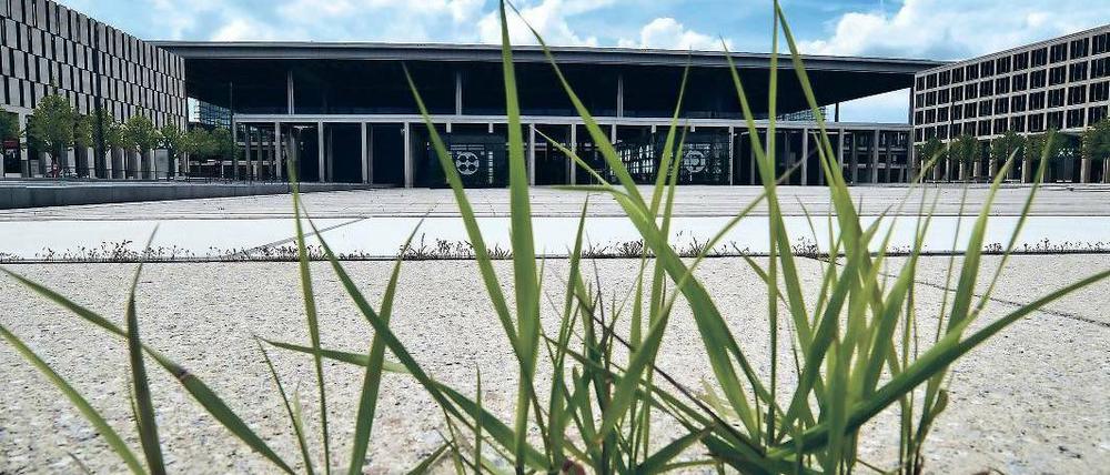 Da wächst schon Gras drüber. Politisch gehen die Diskussionen um den Flughafen BER allerdings weiter. Nach wie vor ist nicht bekannt, wann der Airport eröffnet werden kann.