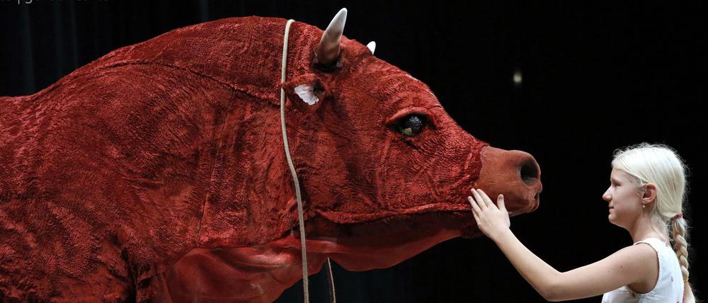 "Die rote Färse" am Berliner Konzerthaus.