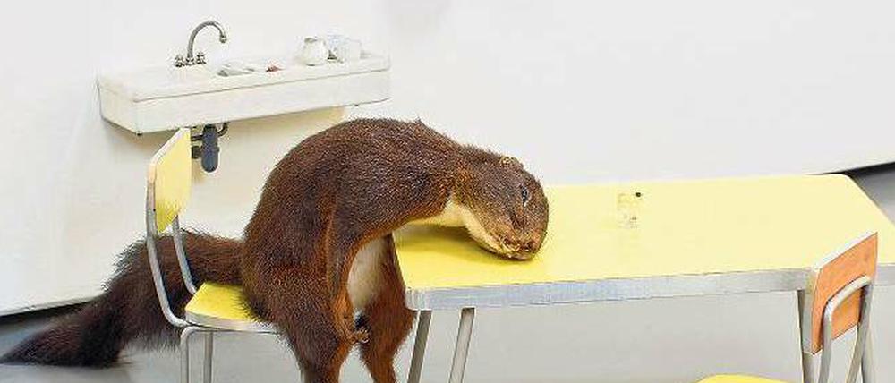 Böse. Die in der Ausstellung gezeigte Vitrine „Bidibidobidiboo“ (1996) von Maurizio Cattelan zeigt ein lebensmüdes Nagetier.