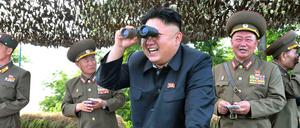 "Kim Jong Un looking at things". Der gleichnamige Blog dokumentiert die legendären Inspektionen des nordkoreanischen Diktators. 