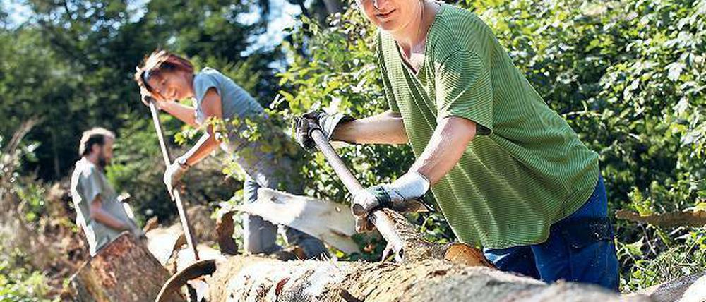 Ran an die Rinde. An der frischen Luft dürfen Freiwillige im Nationalpark Eifel helfen.
