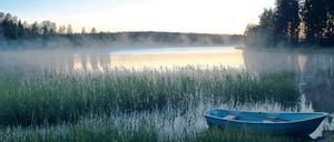 Helle Nächte. Eine ganz eigene Magie liegt im Juli über den Seen Finnlands. Leider mögen auch Mücken diese Gegend.