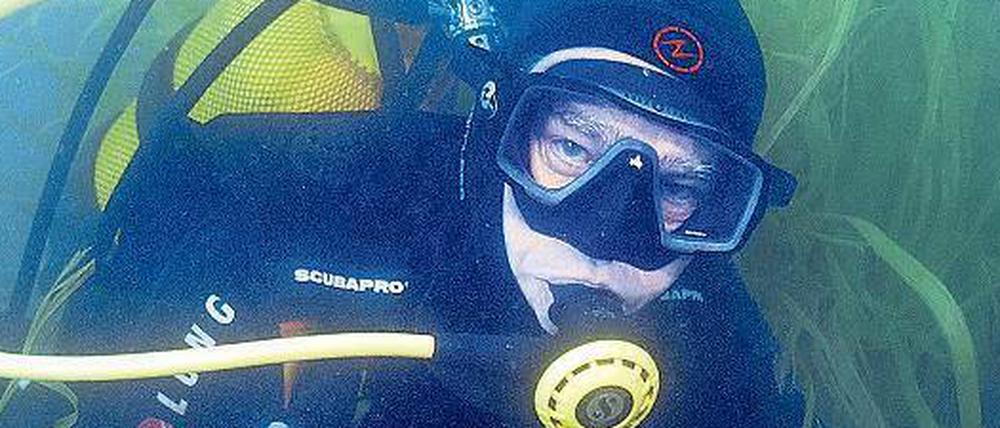 Ein Taucher in einem Seegrasfeld, wo versucht wird, entstandene Lücken wieder aufzuforsten.