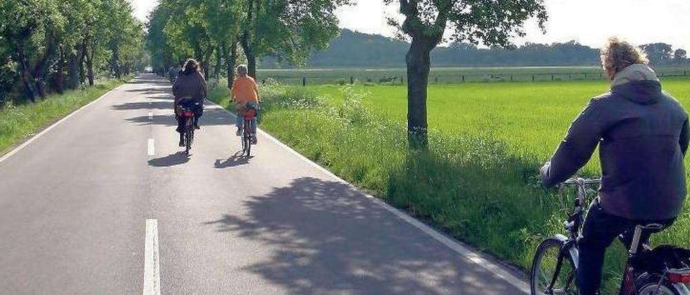 Schön hier. Und es soll noch schöner werden zwischen Havelstadt und Havelberg. Es soll auch ein neuer Buga-Radweg bis 2015 entstehen.