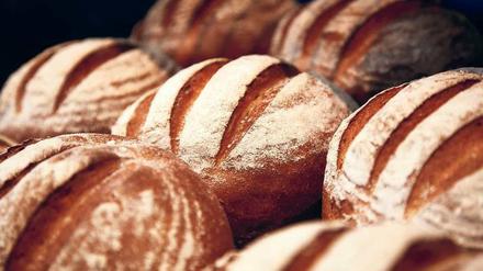 Glutenfreie Ernährung. Wer das Klebereiweiß komplett aus seinem Speiseplan streichen muss, sollte einen Bogen um Bäckereien machen. Denn es ist in fast allen gängigen Getreidesorten und damit auch in Brot, Brötchen und Kuchen enthalten.