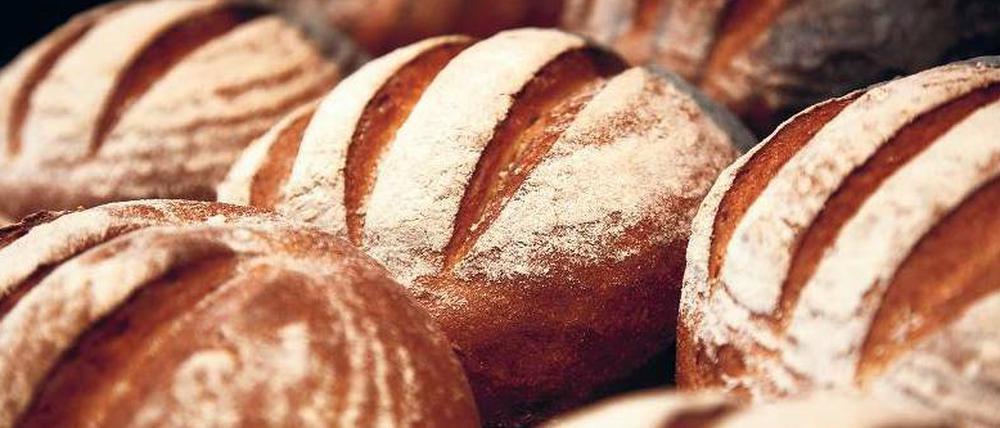 Glutenfreie Ernährung. Wer das Klebereiweiß komplett aus seinem Speiseplan streichen muss, sollte einen Bogen um Bäckereien machen. Denn es ist in fast allen gängigen Getreidesorten und damit auch in Brot, Brötchen und Kuchen enthalten.