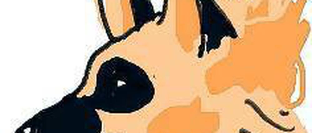 Der Erdwolf.