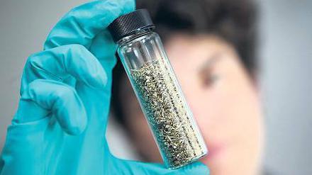 „Legal High“. Eine Polizistin hält eine gefährliche Kräutermischung in der Hand. 