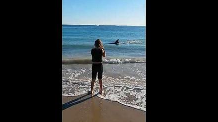 Szene aus dem Video.