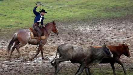 Ein Gaucho bei der Arbeit. 